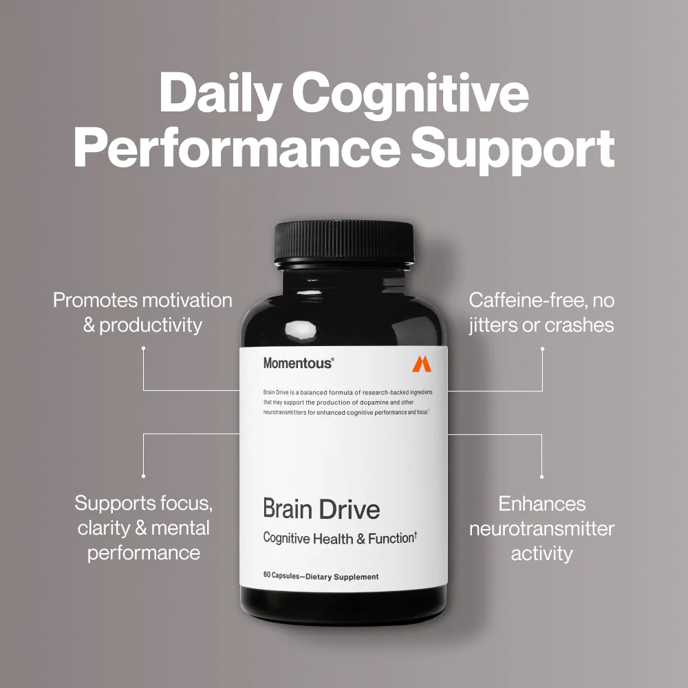 Brain Drive - Image 2