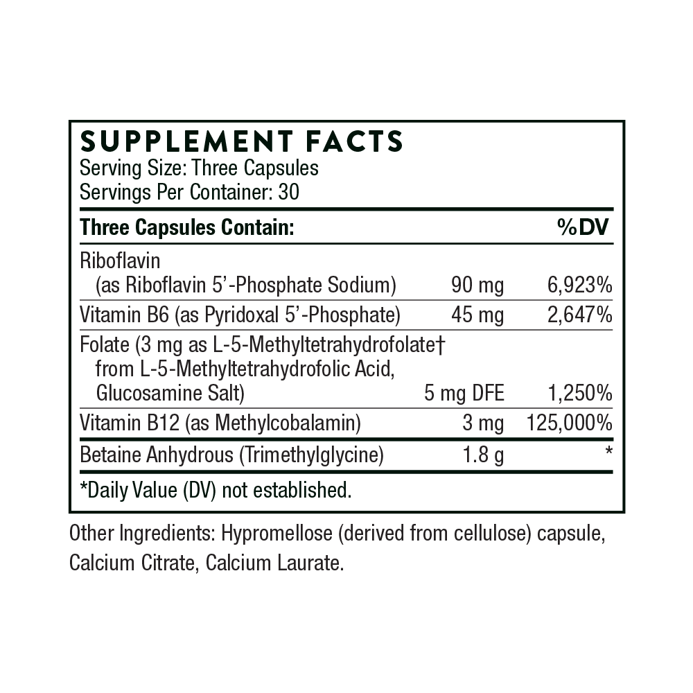 Methyl-Guard Plus - Image 6