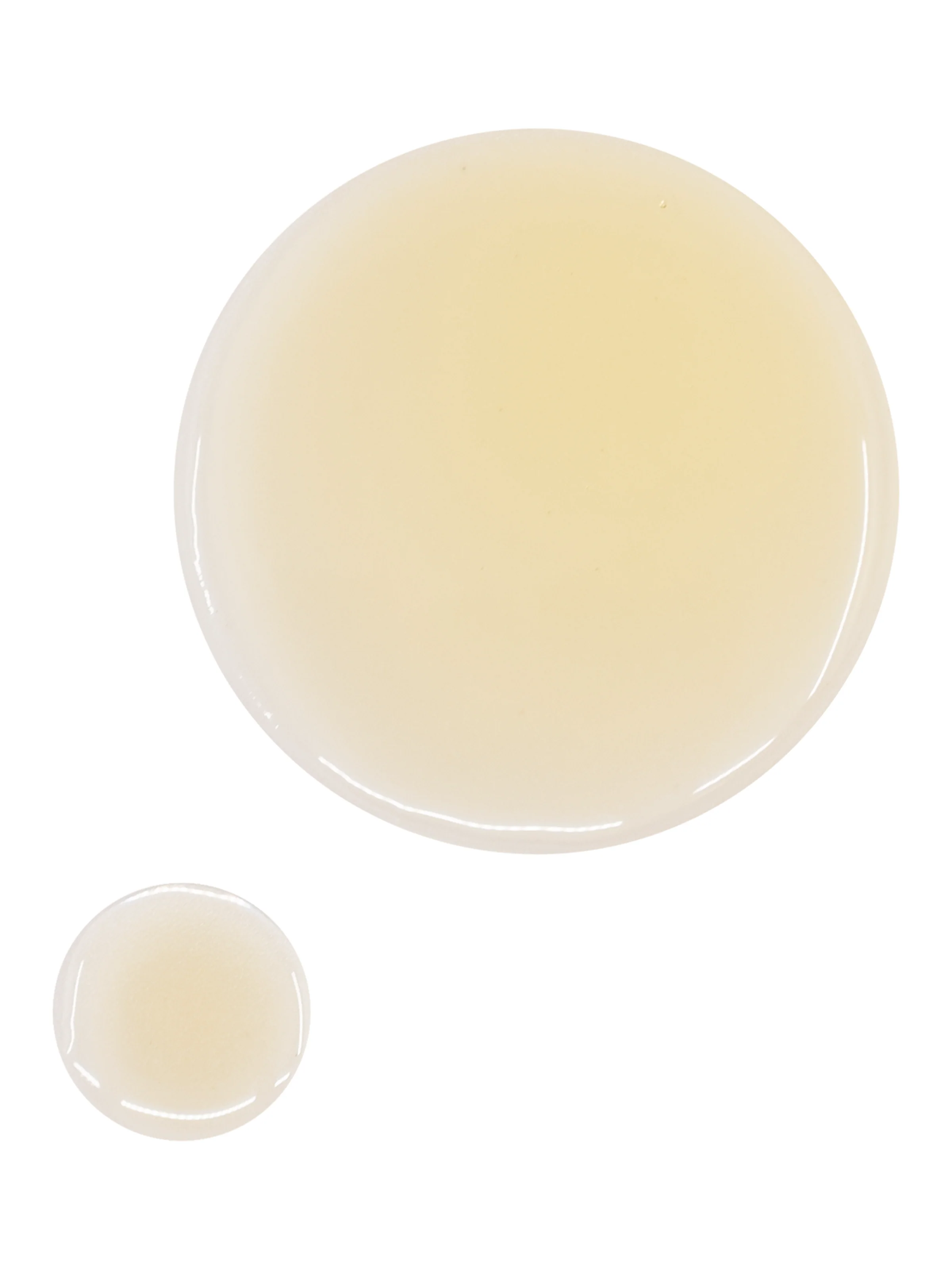 OSEA Undaria Algae Body Oil - Image 2