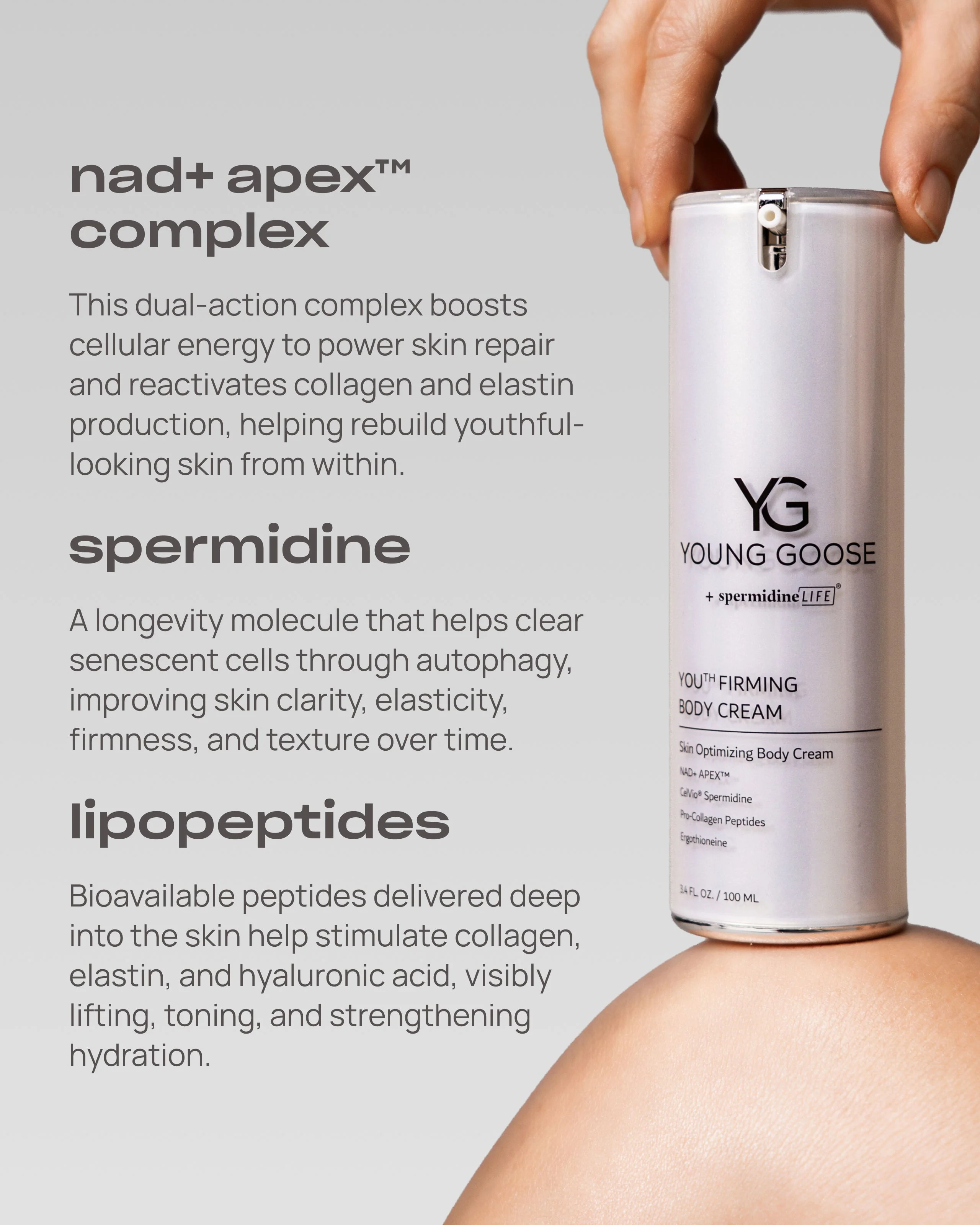 YOUTH FIRMING BODY CREAM - Image 3